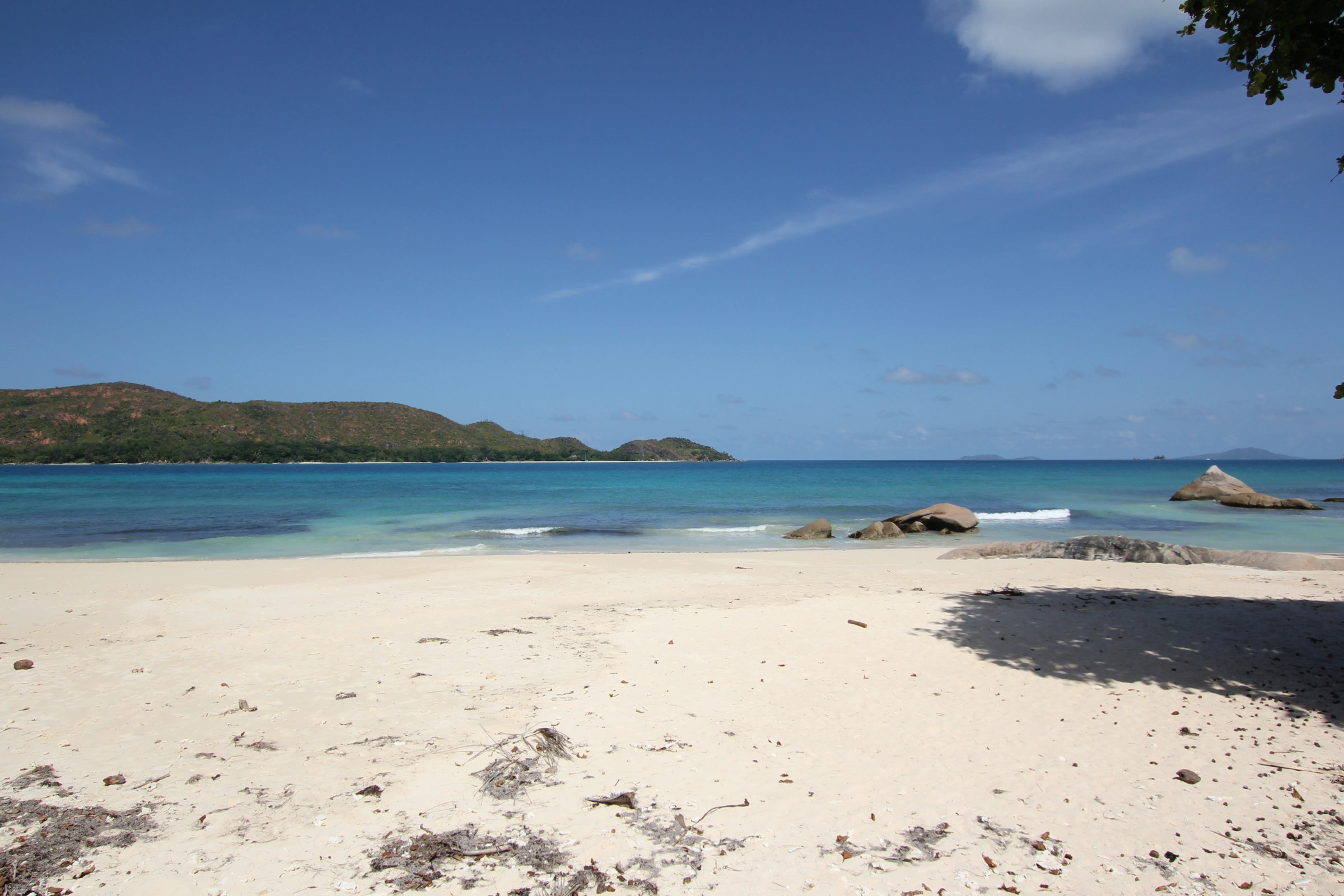11_Possession_Island[1].webp